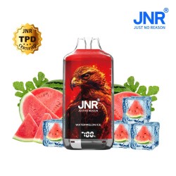 JNR watermelon ice falcon x 28000 puffs