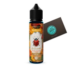 Protect la coccinelle menthe pastèque fraise les pollinisateurs