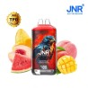 JNR watermelon mango peach falcon x 28000 puffs